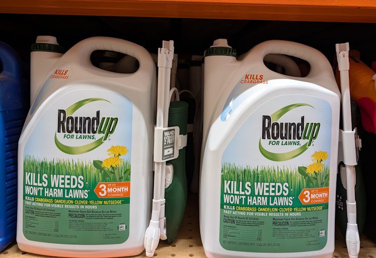 Roundup for lawns