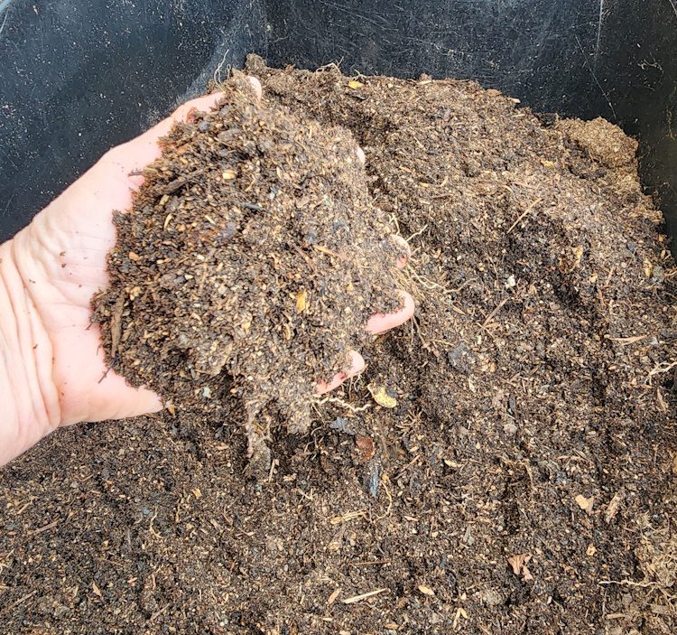 garden soil in a persons hand