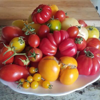 Seven Pro Tips for Growing Great Tomatoes This Year