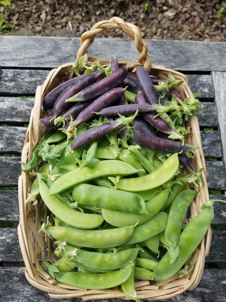 snap peas in a basket