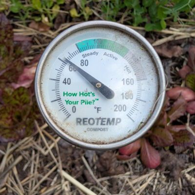 soil thermometer in the soil