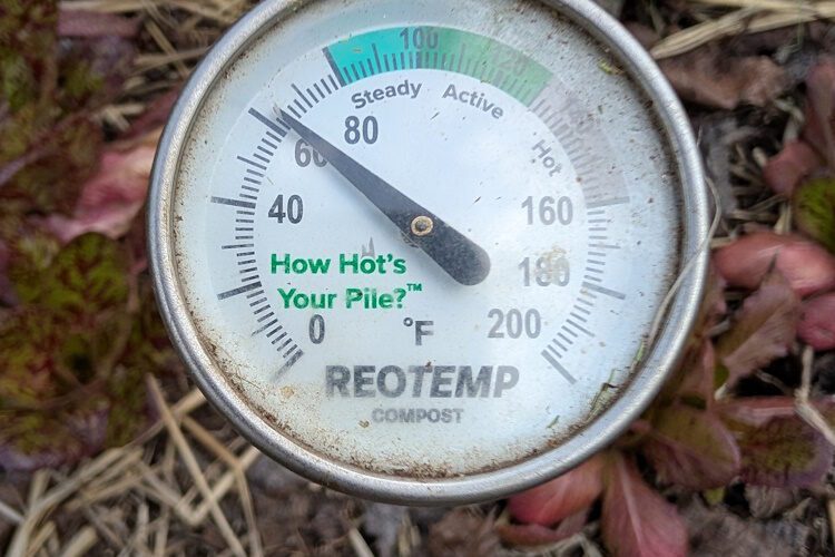 soil thermometer in the soil