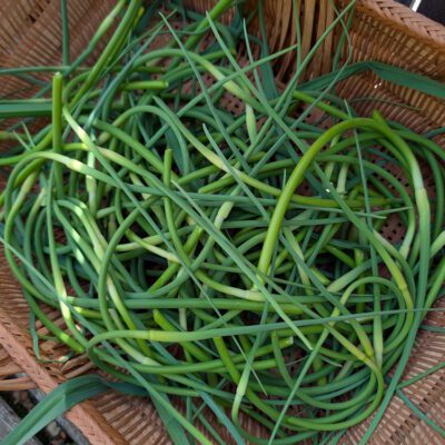 Garlic Scapes, Edible Flowers, and Other Unexpected Edible Treasures
